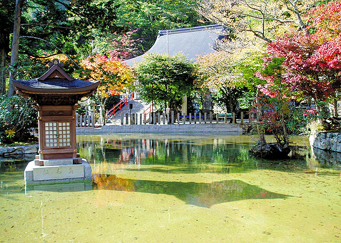 龍泉寺 | 奈良県の観光情報まとめサイト NARABURA(奈良ぶら)