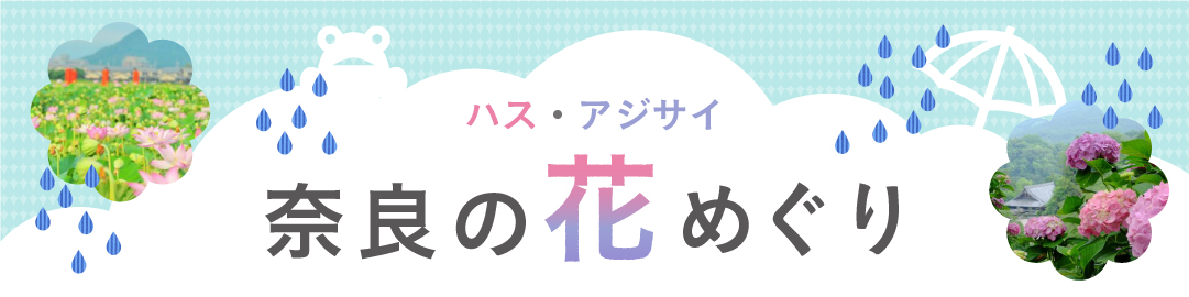 ハスアジサイ花めぐりバナー02