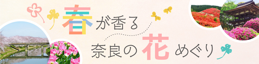 春が香る奈良の花めぐり02